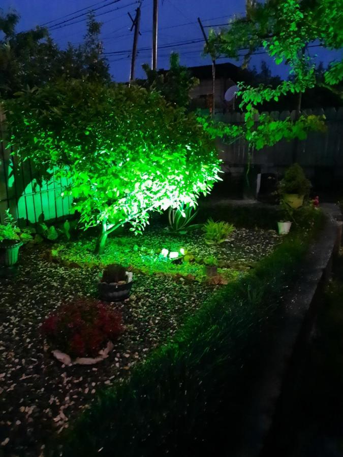 Sisi Guest House 쿠타이시 외부 사진